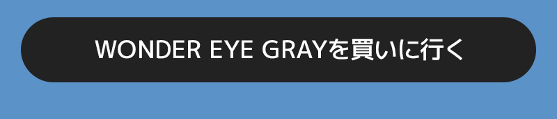 wonder eye 1day gray