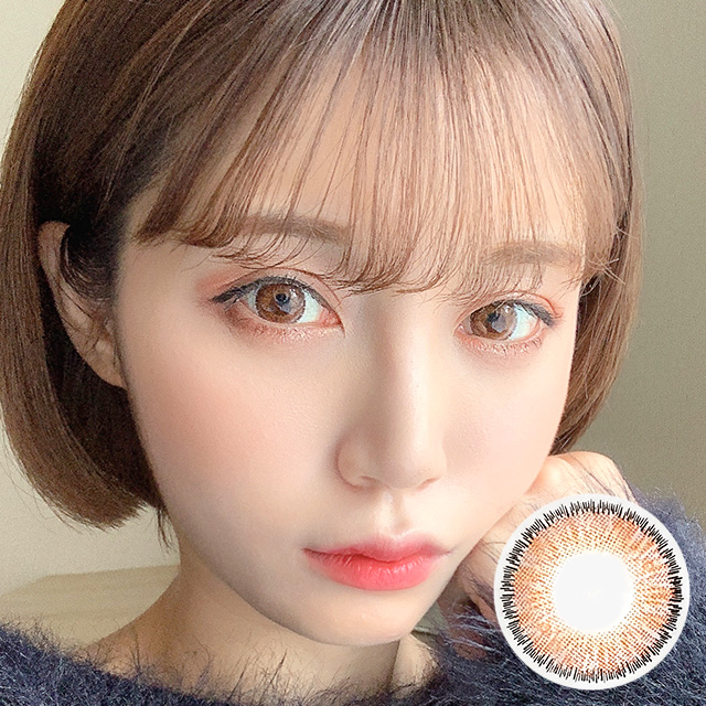 ダリ3カラー ブラウン [1年用]