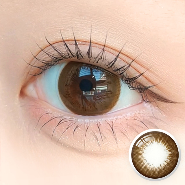 ダンビークラシック [1年用]